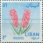 Hyacinth