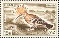 Eurasian Hoopoe (Upupa epops)