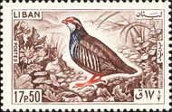 Rock Partridge (Alectoris graeca)