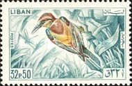 European Bee-eater (Merops apiaster)