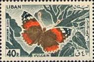 Red Admiral (Vanessa atalanta)
