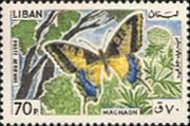 Swallowtail (Papilio machaon)