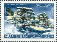 Cedars of friendship