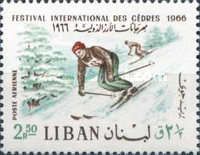 Skier