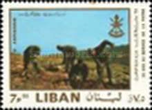 Soldiers doing forestry work