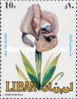 Iris of Sofar