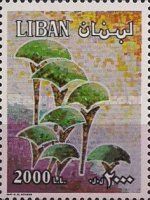 Mosaic of trees