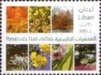 Vegetation of Natural Reserves