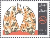 Lungs with cigarette butts
