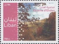 Ehden Nature Reserve