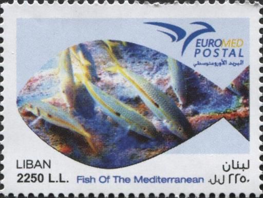 EuroMed Postal - Fish of the Mediterranean