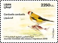 Goldfinch (Carduelis carduelis)