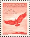 Golden Eagle (Aquila chrysaetos)
