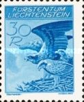 Osprey (Pandion haliaetus)