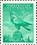 Golden Eagle (Aquila chrysaetos)