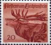 Red Deer (Cervus elaphus)