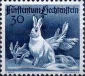 Mountain Hare (Lepus timidus)