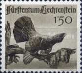Western Capercaillie (Tetrao urogallus)