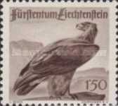 Golden Eagle (Aquila chrysaetos)