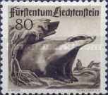 European Badger (Meles meles)
