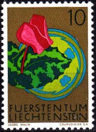 Cyclamen