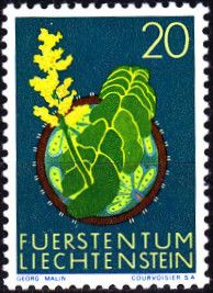 Moonwort (Botrychium lunaria)