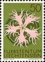 Large Pink (Dianthus superbus)