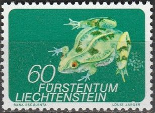 Edible Frog (Rana esculenta)