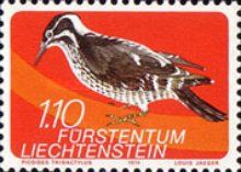 Eurasian Three-toed Woodpecker (Picoides tridactylus)