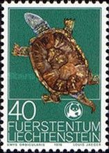 European Pond Turtle (Emys orbicularis) 