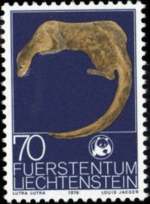 Eurasian Otter (Lutra lutra)