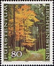Beech forest, Schaan