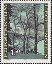 Forest, Oberplanken