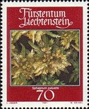 Moss (Sphagnum palustre)