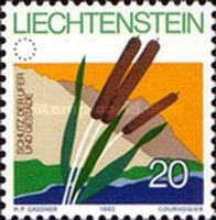 Broadleaf Cattail (Typha latifolia)