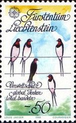 Barn Swallow (Hirundo rustica)