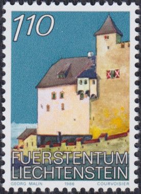 Back view