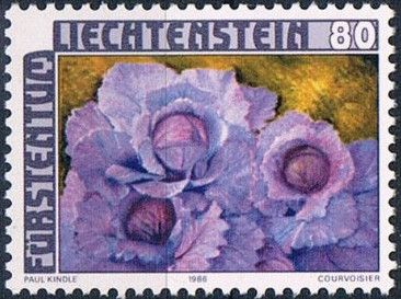 Red cabbage