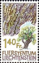 Oak