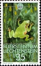 European Tree Frog (Hyla arborea)