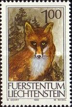 Red Fox (Vulpes vulpes)