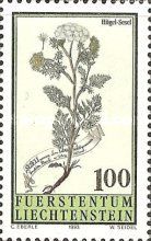 Seseli annuum