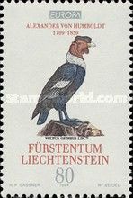 Andean Condor (Vultur gryphus)