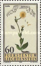 Arnica montana