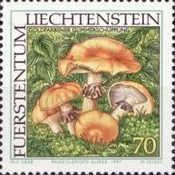 Phaeolepiota aurea