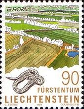 European Adder (Vipera berus), Reedlands Schwabbrünnen-Aesch