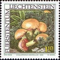 Chalciporus amerellus