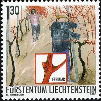 Pruning (February)