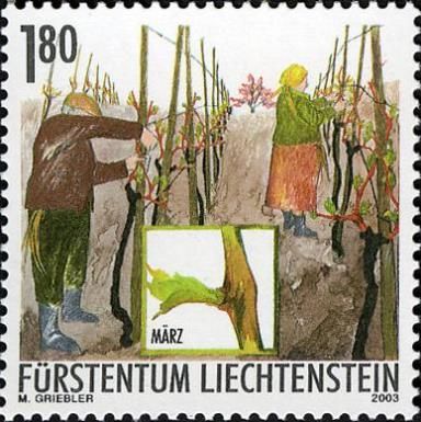 Tying vines to arbor (March)