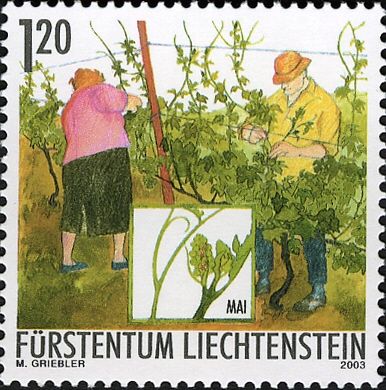 Looping vines (May)